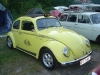 bug_run_15
